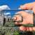 Why Small Businesses Are Turning to Project Management Apps