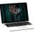Avoid Costly Business Internet Mistakes